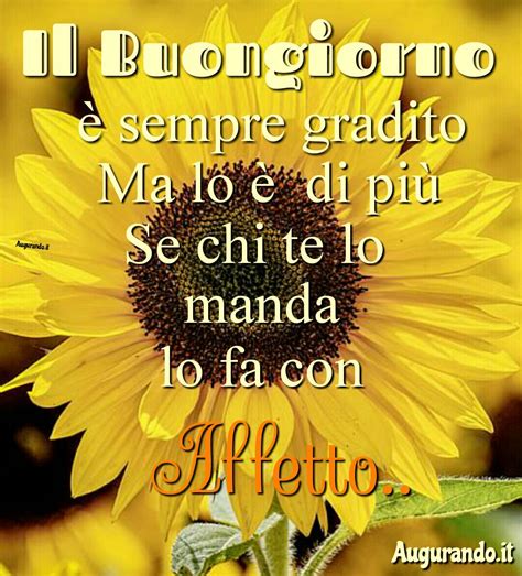 buona giornata buongiorno belle donne|buon giorno frasi belle.